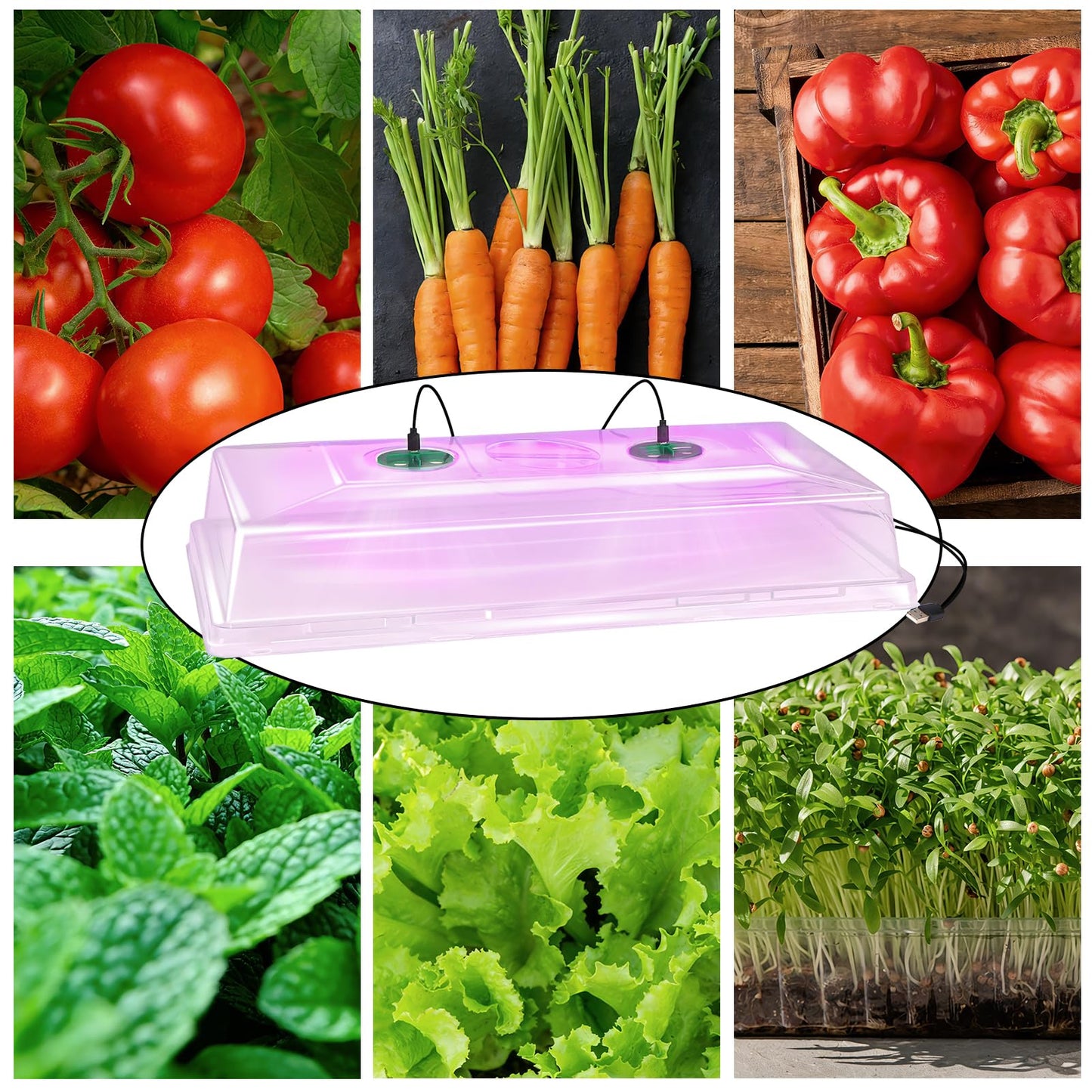 Niuyhe 5 Pack Humidity Dome for 1020 Tray with Grow Light, 21.25"×11.02" Propagation Seed Cloning Lid Adjustable Vented for 10 X 20 Inch Plant Seed Starter Pots
