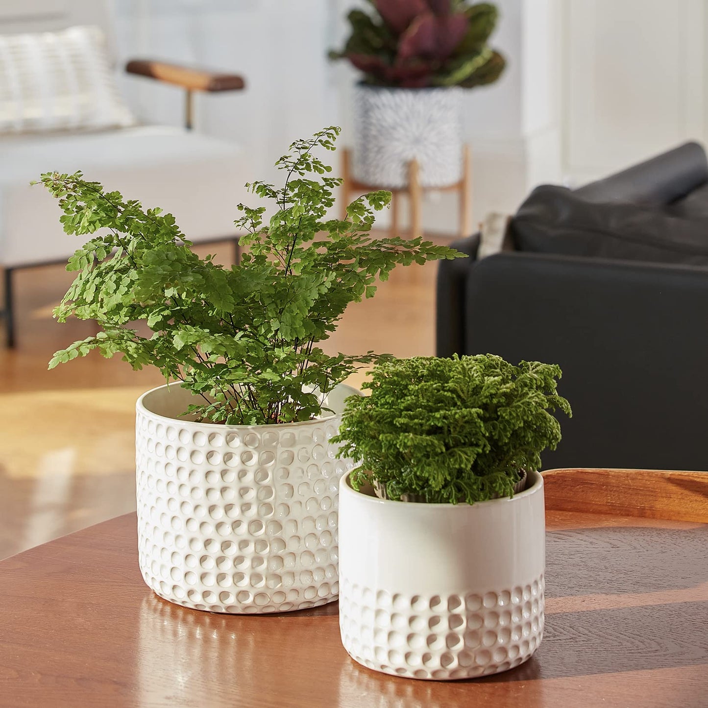 La Jolie Muse Ceramic Planter Flower Plant Pots- 6.7+5.5 Inch Concave Dot Patterned Cylinder Flower Pot W/ Drain Hole for Indoor, Set of 2, Ivory