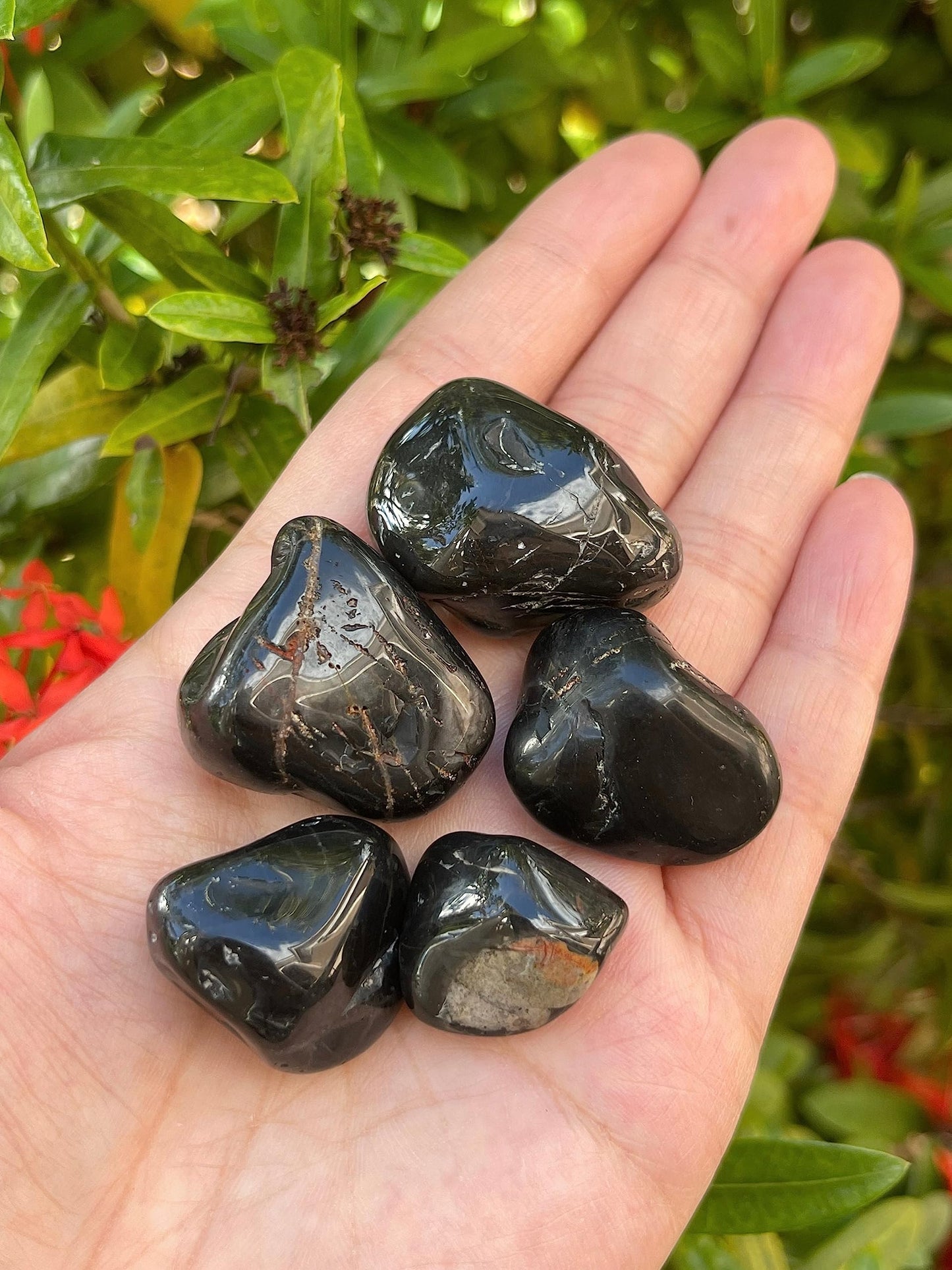 GAF TREASURES 5 Pcs Black Onyx Tumbled Stones, Polished Natural Black Onyx Gemstone, Black Onyx Healing Crystals