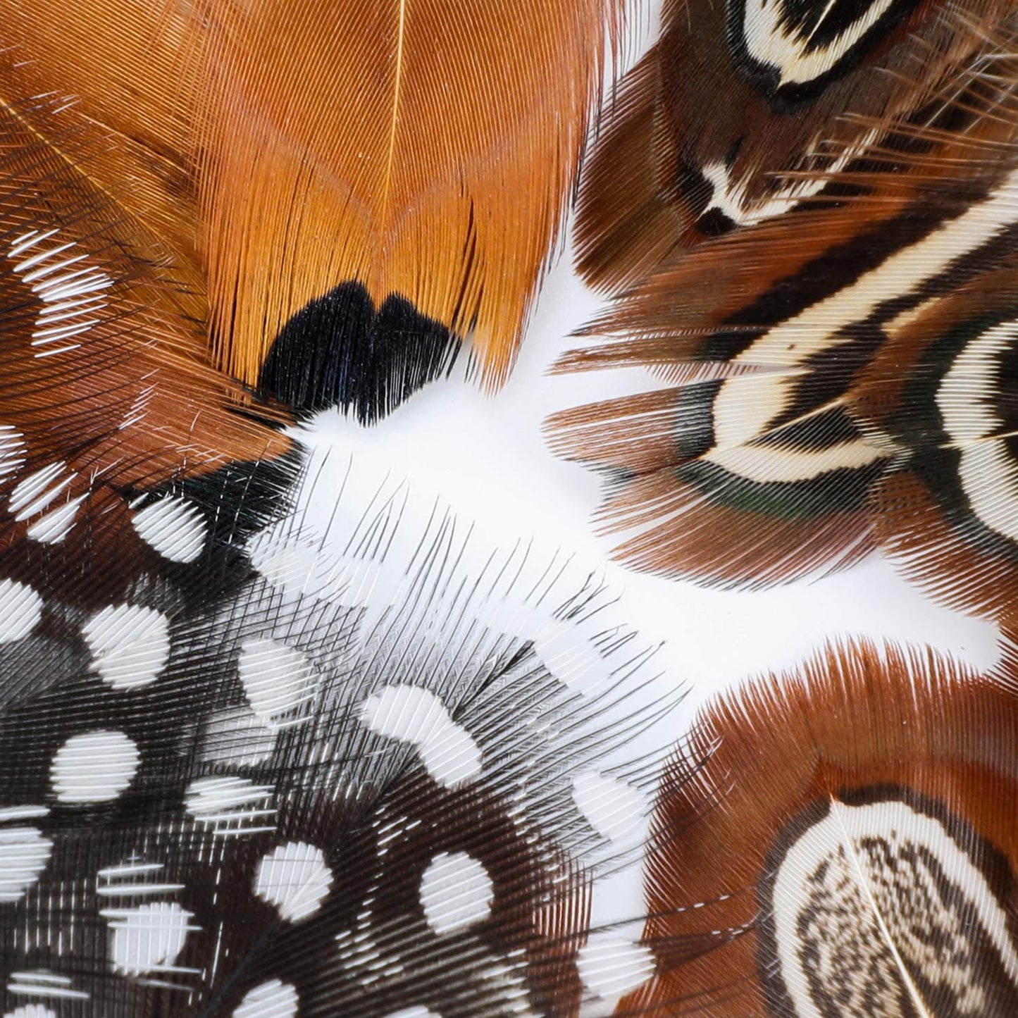 MWOOT 300PCS Spotted Chicken Feathers Natural Pheasant Plumage Feathers for DIY Crafts, Clothing, Jewelry, Wedding, Birthday Party, Dream Catcher Decoration