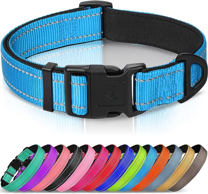Joytale Reflective Dog Collar, Adjustable Neoprene Padded, Gray XL