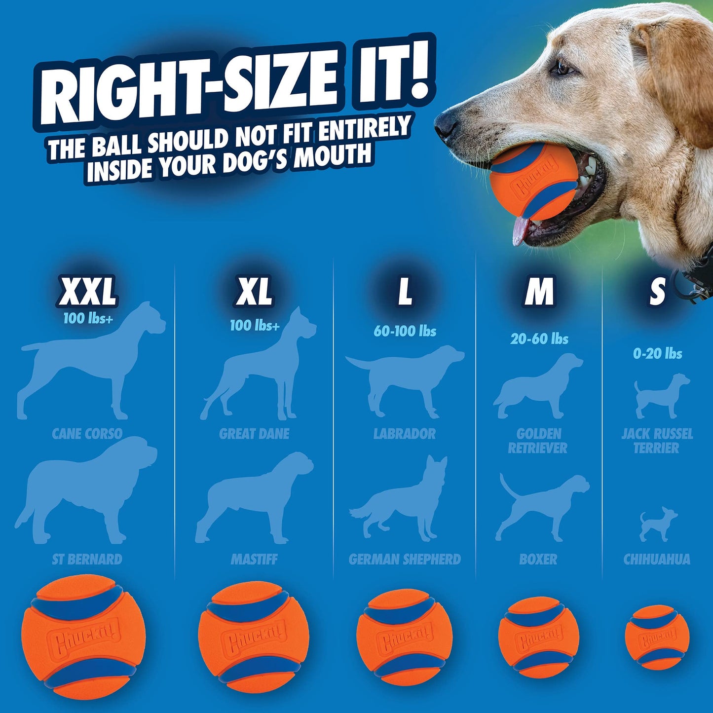 ChuckIt! Medium Ultra Ball, 8 Count