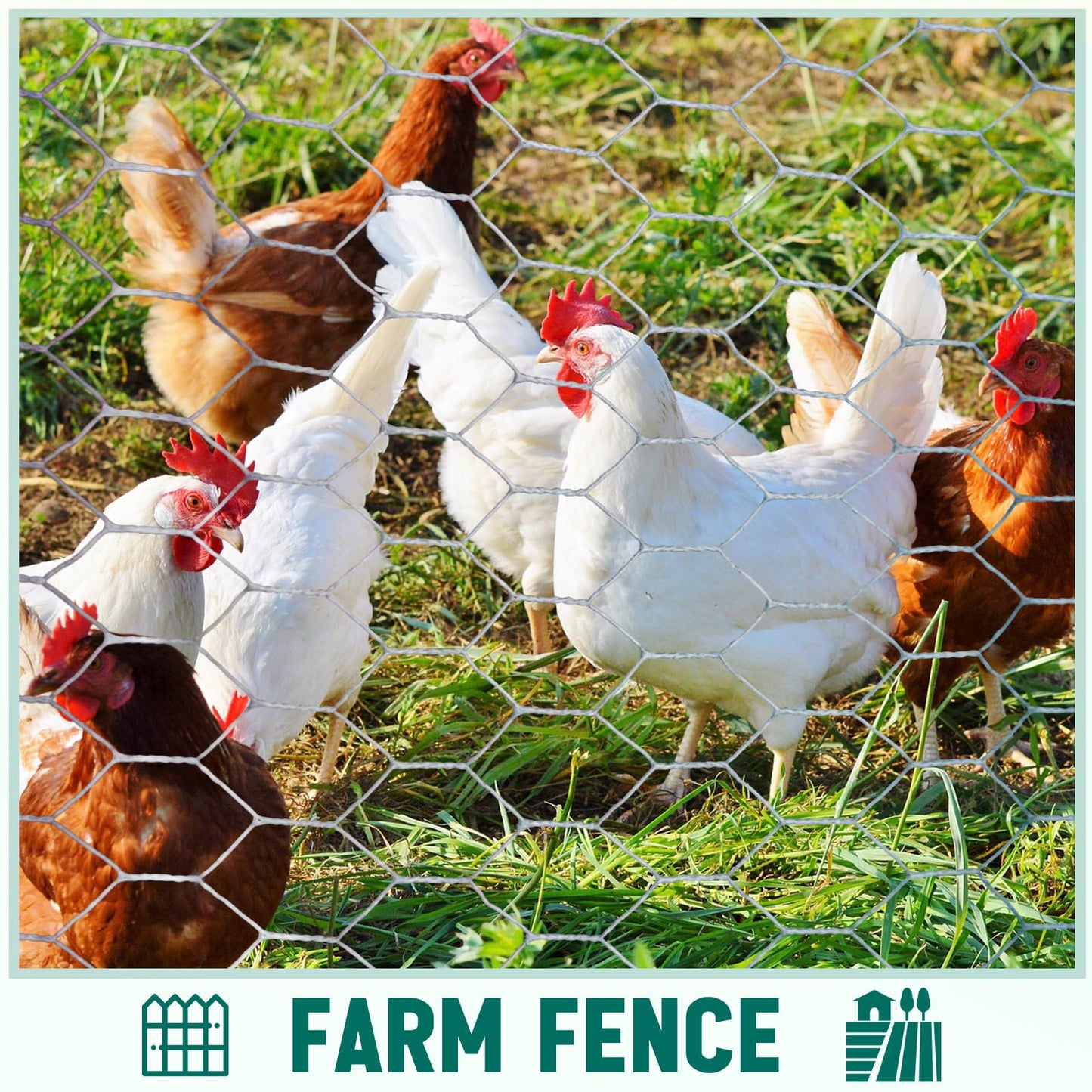GlikCeil 12 in X 200 ft Chicken Wire Fencing Metal Floral Chicken Wire Mesh for Crafts Poultry Garden, 1 Inch Hexagonal Galvanized Hardware Cloth Netting for Poultry Coop Barrier Rabbit Cage (Silver)