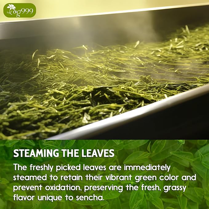 TOG999, Premium 120 Sencha Green Tea Bags, 100% Natural & Pure from Sencha Green Tea Leaves. Loose Leaf Sencha Herbal Tea. No Sugar, No Gluten, Vegan.