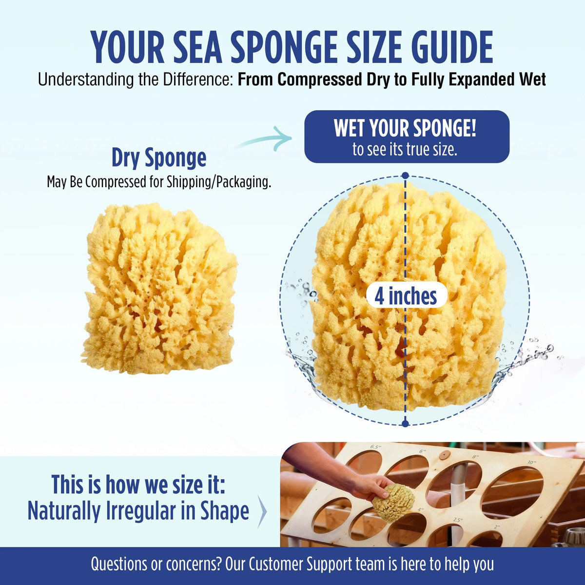 Natural Baby Bath Sponge 4in Soft Grass Sea Sponge (2 Count)