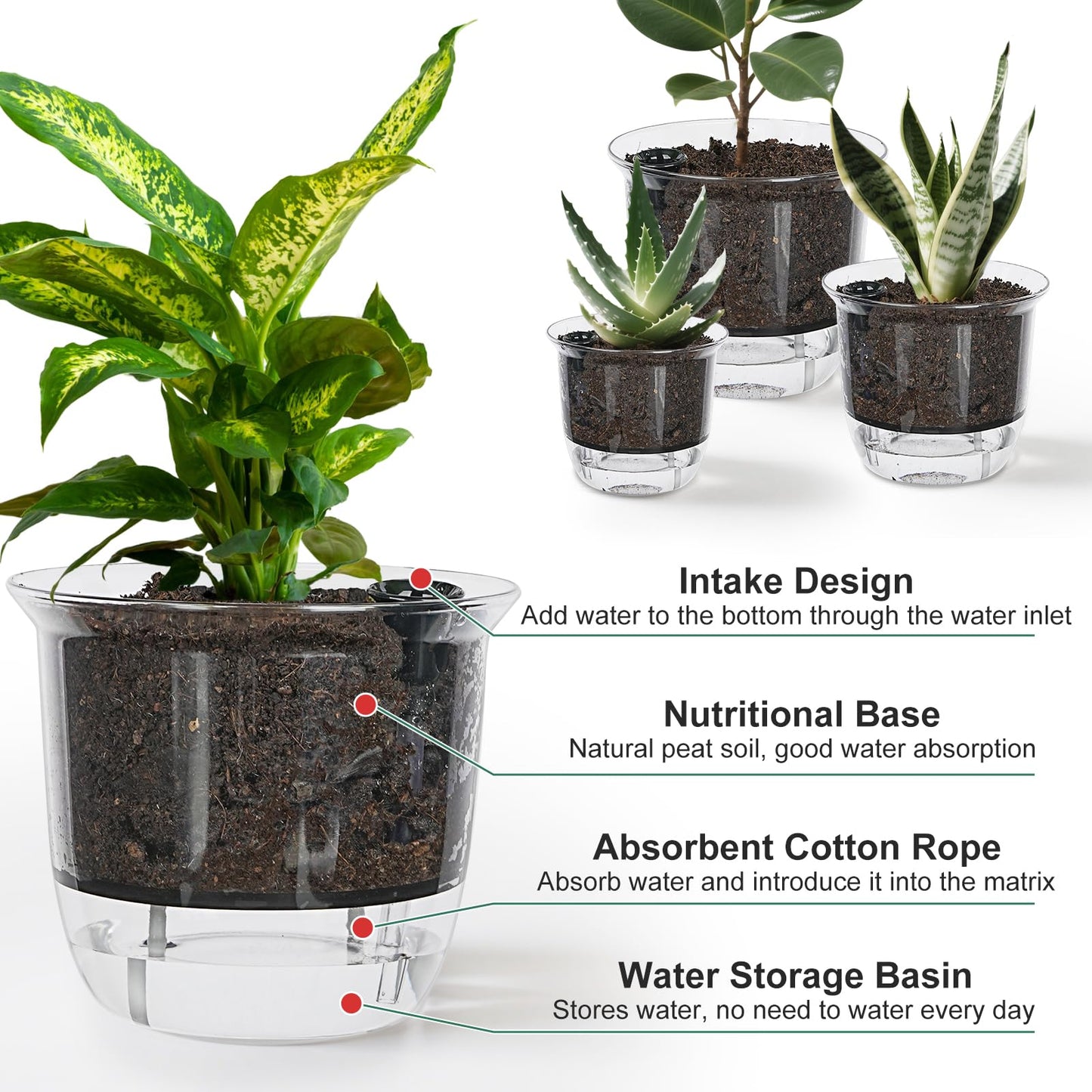 IWNTWY Plant Pots 6/5/4 inch Set of 3, Self Watering Pots for Indoor Outdoor Plants Flowers, Self Watering Planters with Reservoir, Drainage Hole and Absorbent Cotton Rope