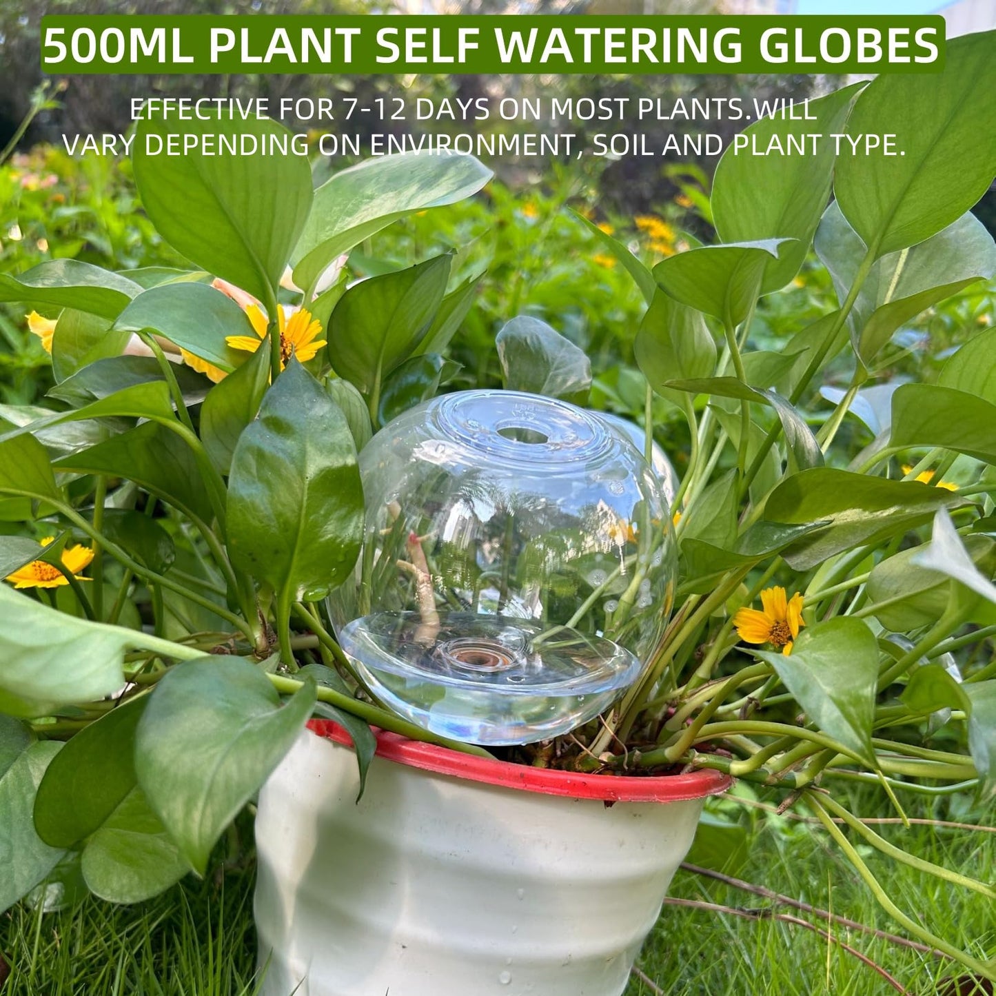 2 Pack Self Watering Globes for Indoor & Outdoor Plants – 17oz Automatic Water Bulbs for Indoor Plants–Slow Release Control Water Dripper for Plants – Plant Watering Devices While Away