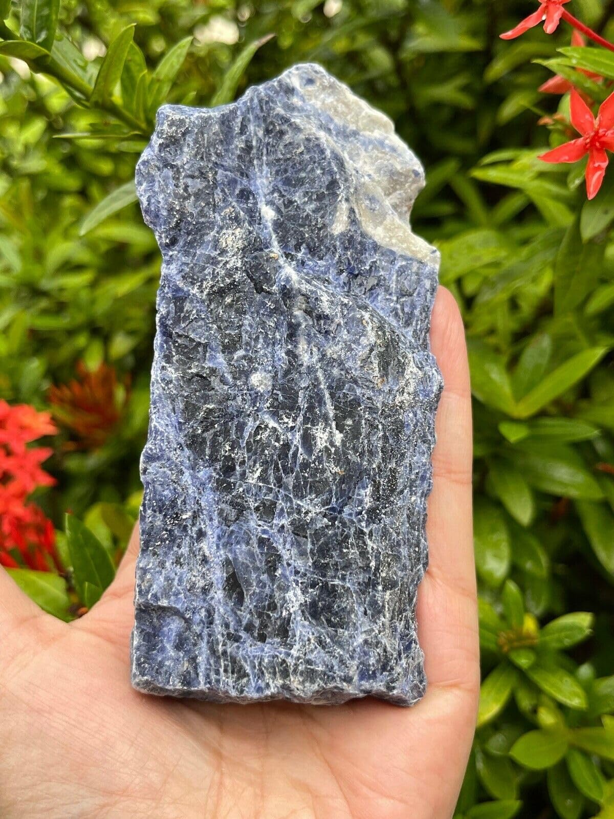 GAF TREASURES XL Raw Sodalite, 3-4" Natural Rough Sodalite, Sodalite Healing Rough Crystal (Sodalite, 0.5-1 lb)