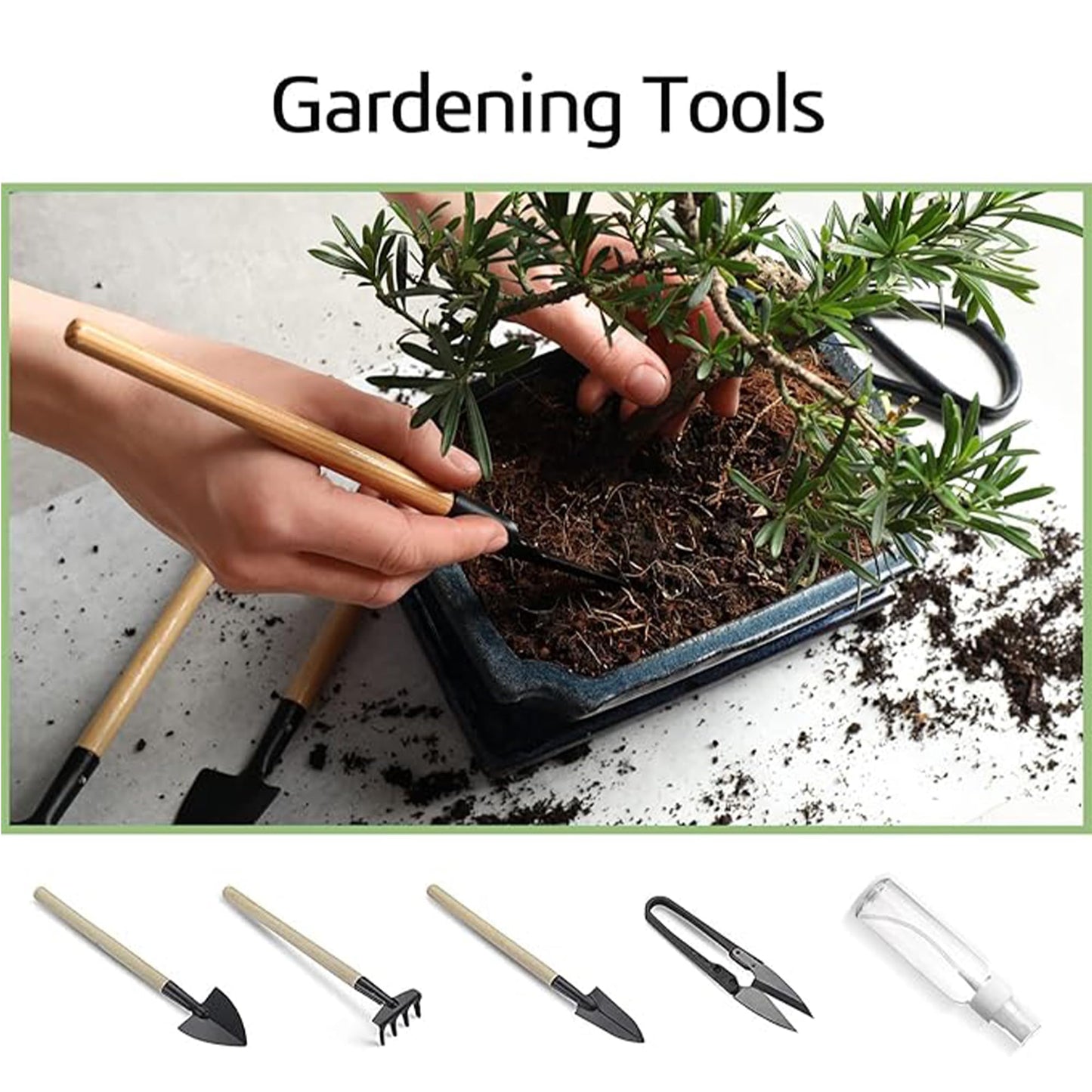 Sproutix Bonsai Garden Starter Kit, 4 Seeds Growing into Sakura, Ginkgo, Black Pine, Red Flame, Including Complete Gardening Tools & A Planter Box with Cover for Men Women Beginners