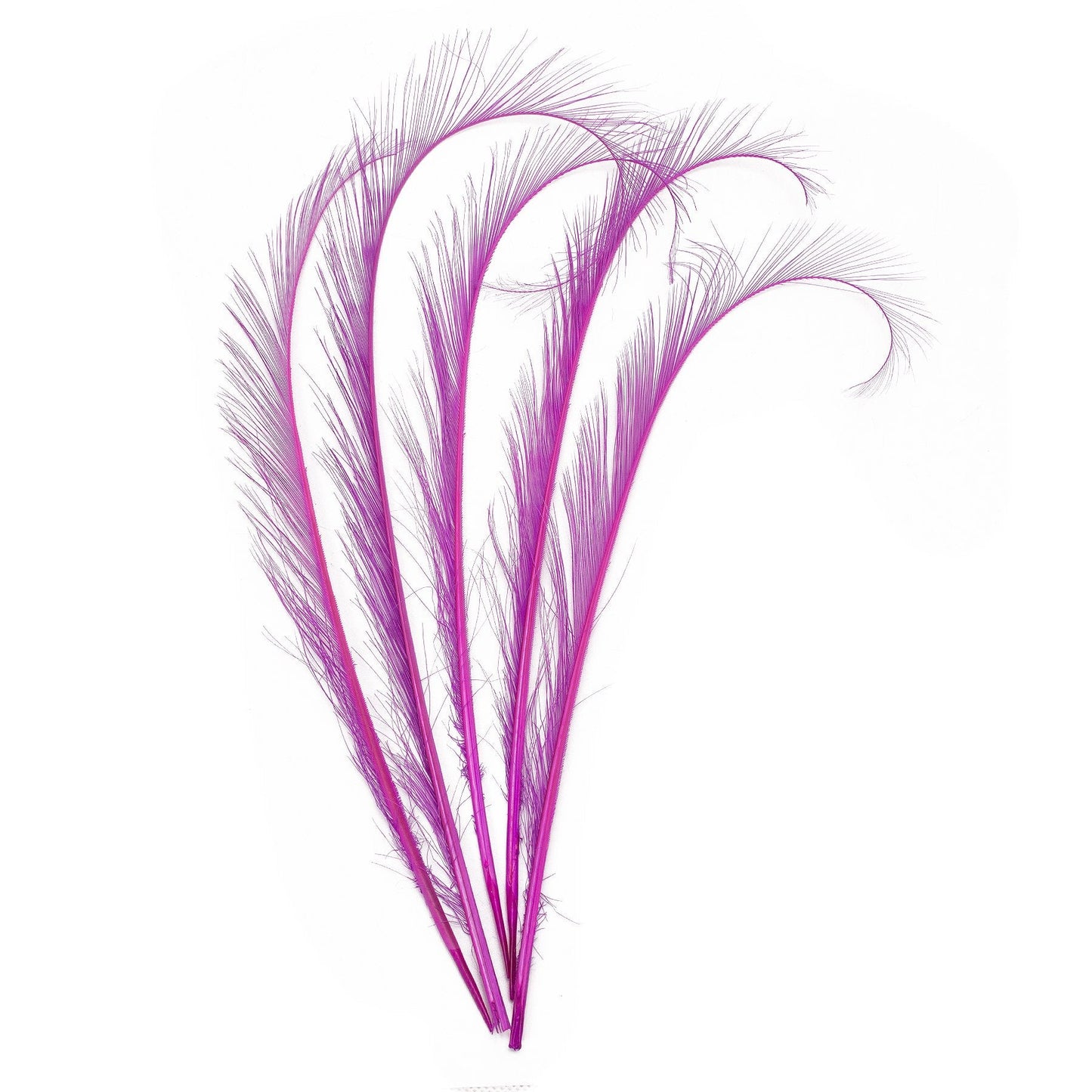 Lawliet 5pcs 10-12" Burnt Pheasant Quill Feather Millinery Hat Trimming Craft B071 (Purple)