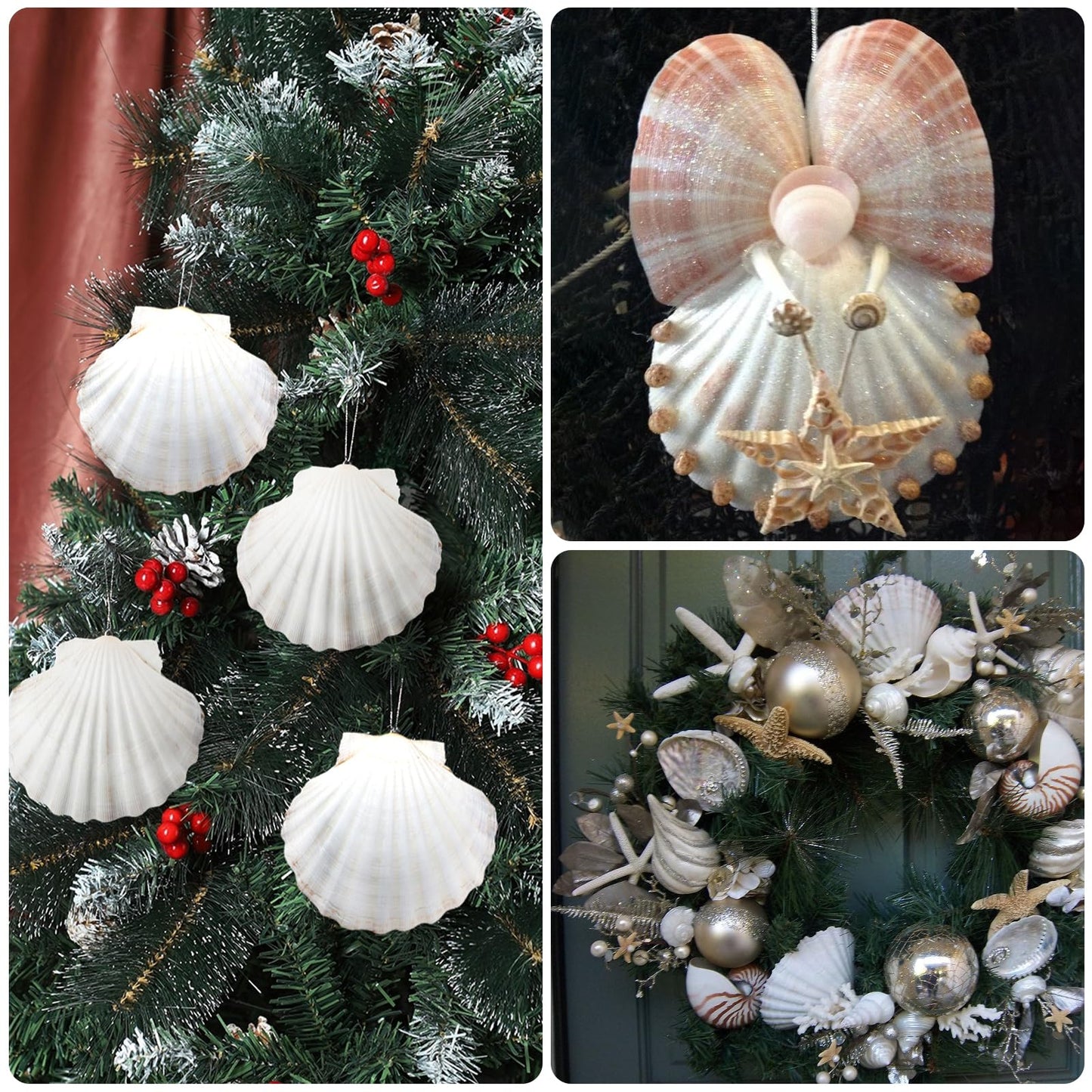 10PCS Large Natural Scallop Shells, 4''-5'' Large Shell for Crafts, DIY Painting, Baking and Beach Wedding Decorations - Large White Seashells Bulk for Ocean Themed Parties and Home Decor
