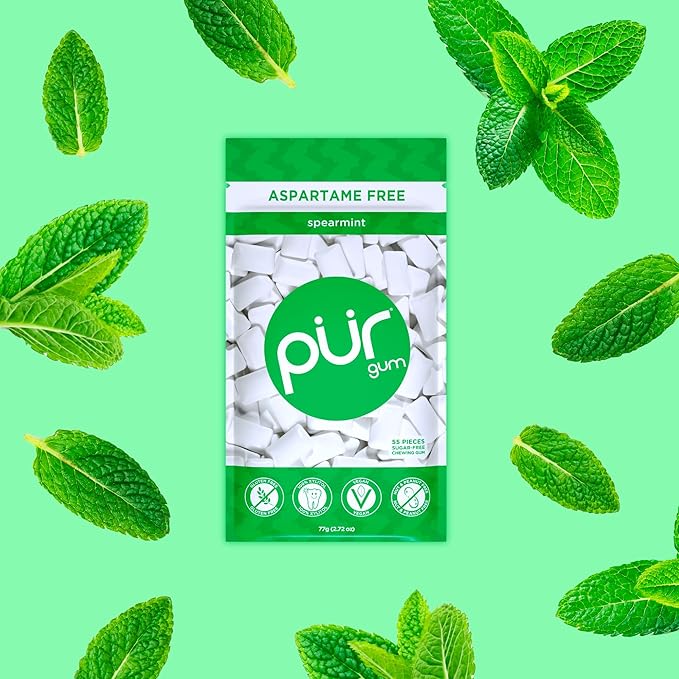 PUR Gum | Aspartame Free Chewing Gum | 100% Xylitol | Natural Spearmint Flavored Gum, 55 Pieces (Pack of 1)