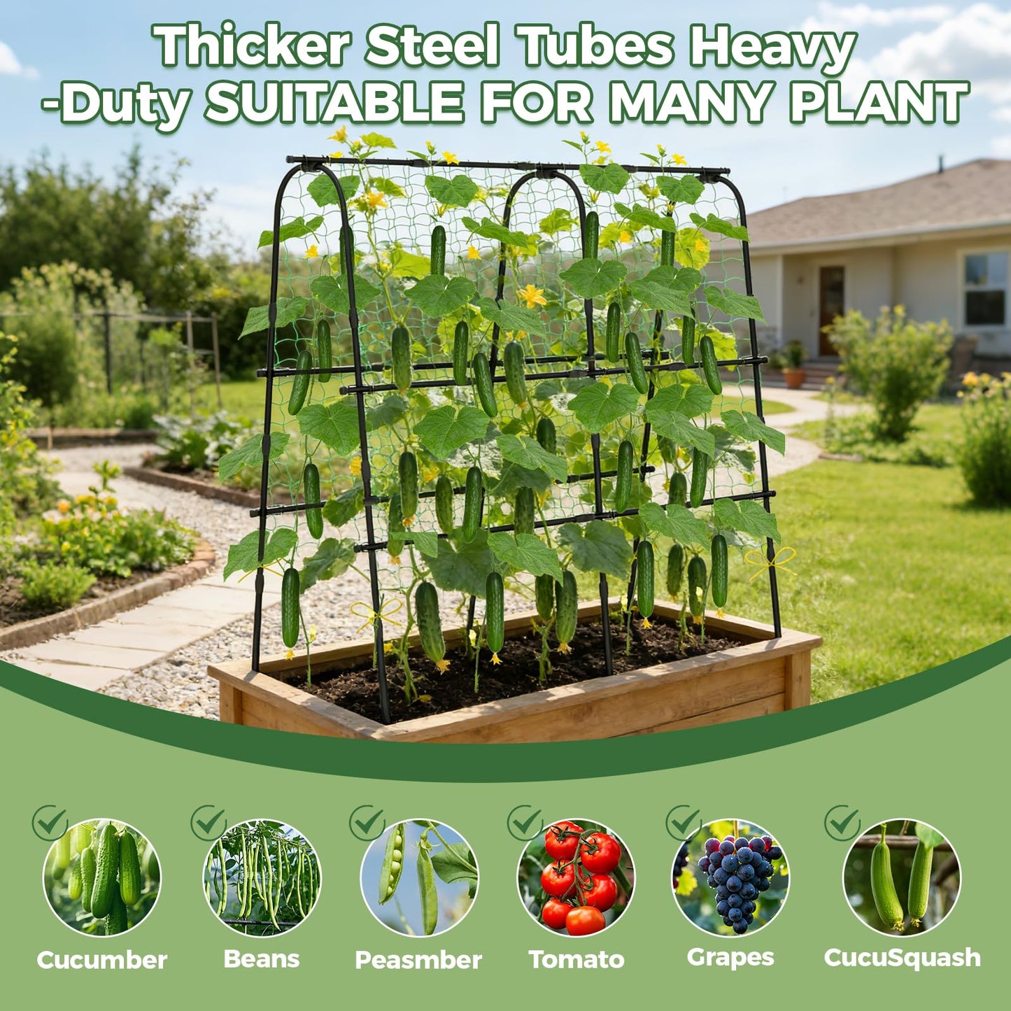 Cucumber Trellis for Raised Bed, 62"x62"U-Shape Garden Trellis for Climbing Plants Outdoor, Metal Arch Plant Support with Netting for Cucumbers, Beans, Tomatoes & Climbing Vegetables