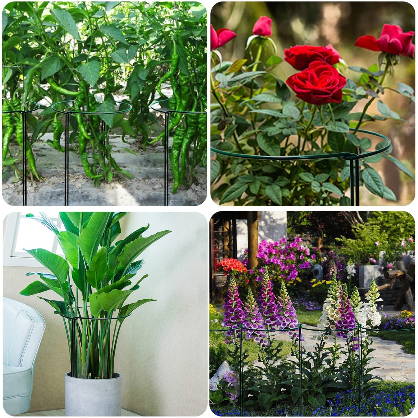 TCBWFY 14" Dx32 H Plant Supports Stakes for Large Heavy Plants,10Pack Peony Supports,Heavy Duty 5mm Wire Peony Cages,Interlock Garden Supports Ring Border Support,Plant Support Cage for Rose Flower