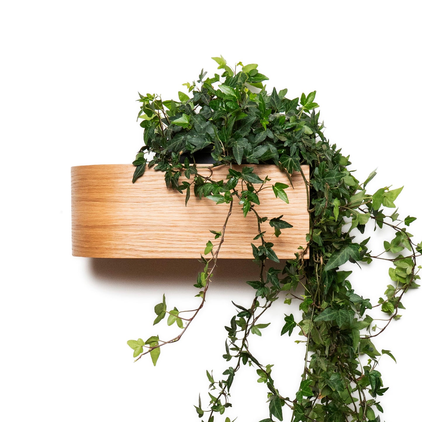 Wall Mounted Planter Indoor, Wooden Plant Shelf, Hanging Floating Display Rack for Plants, Succulents, Herbs, Curved Scandinavian Shelves (Ash)