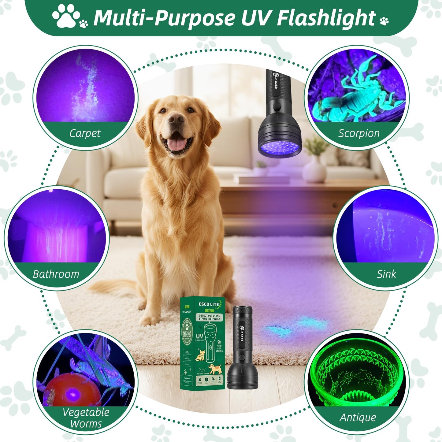 ESCO LITE UV Flashlight Black Light, 51 LED 395 nM Ultraviolet Blacklight Detector for Dog Urine, Pet Stains and Bed Bug