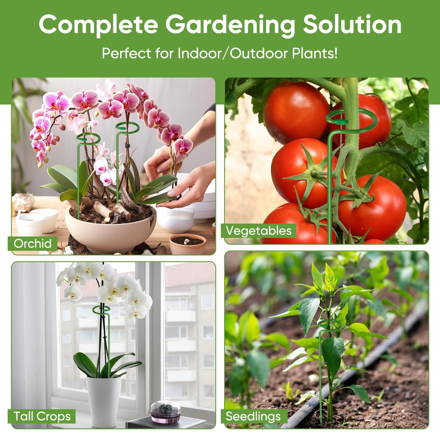 12 Pack Plant Support Stakes with 24 Pcs Plant Clips, Garden Single Stem Support Stake, Plant Cage Support Ring for Indoor Outdoor Flowers Rose Amaryllis Tomatoes Peony Lily Orchid