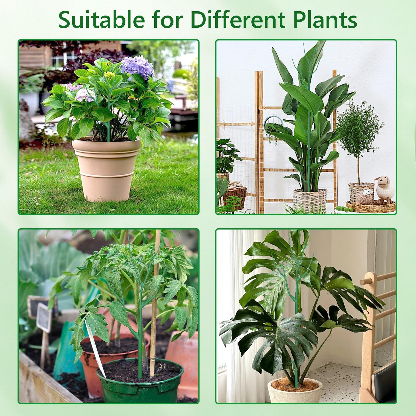Obralitic 10 Pack Stackable Plant Supports Stakes, Sturdy Garden Trellis for Climbing & Vining Plants, Monstera, Pothos & Philodendron - Reusable Plant Stakes for Indoor & Outdoor Potted Plants