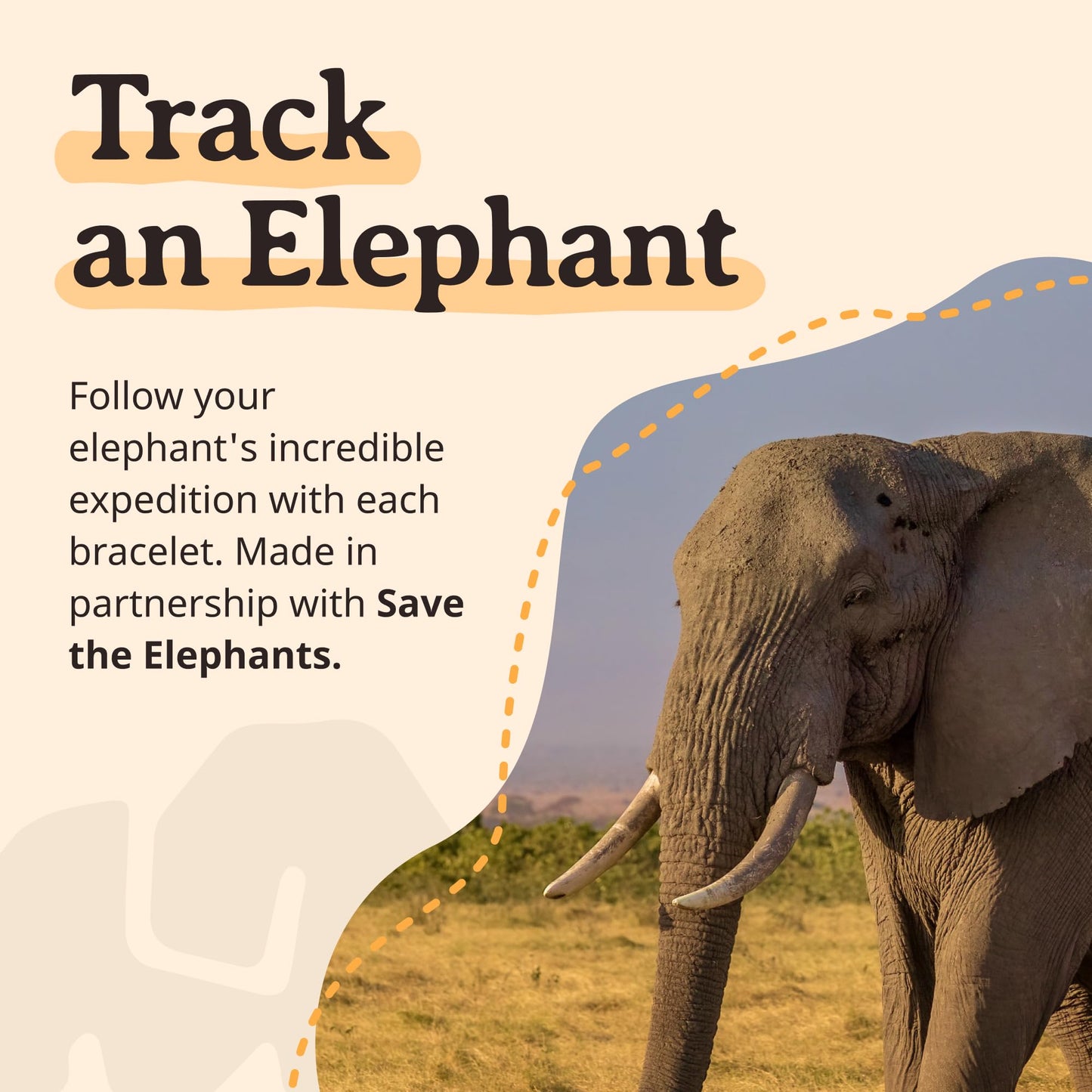 Fahlo Elephant Tracking Bracelet – Track a Real Elephant’s Journey – Supports Save the Elephants – Elastic, One Size Fits Most – on Interactive Mobile App Map – Unisex Conservation Gift (Lava Stone)