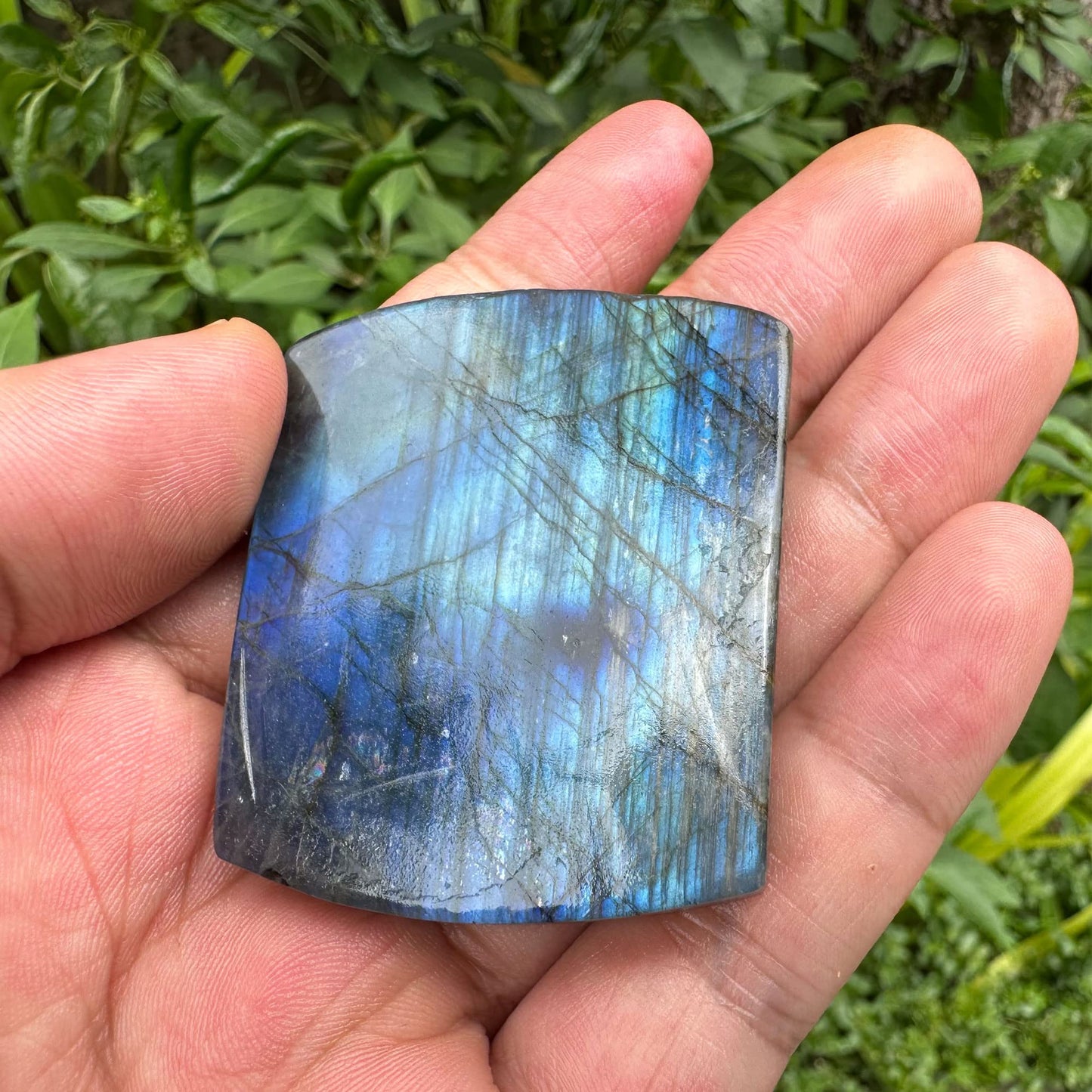TEAMWILL Natural Labradorite Crystal Quartz Hand Carved Fly Dragon Reiki Healing Crystal Gorgeous Art Sculpture Stone Statue Figurine Minerals Gifts