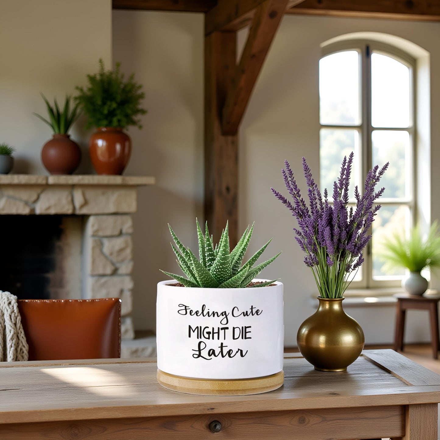 Haooxinwei Funny planters for Indoor Plants Garden Succulent Pots, with Drainage Holes and Saucer(No Plants) (Feeling Cute Might Die Later)