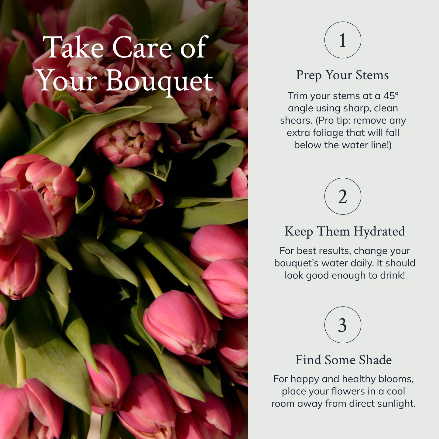 UrbanStems – The Parasol Bouquet (No Vase) – Fresh Flowers for Delivery – Birthday, Thank You, or Congratulations
