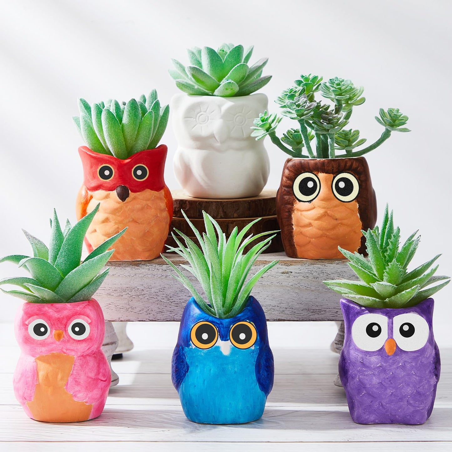 Tanlade 12 Set Paint Your Own Ceramic Planters Mini Owl Ceramic to Paint Succulent Pots 3 Inch Bisque Ceramics Unpainted with Drainage Hole Ready to Color Classroom Craft Project Activity
