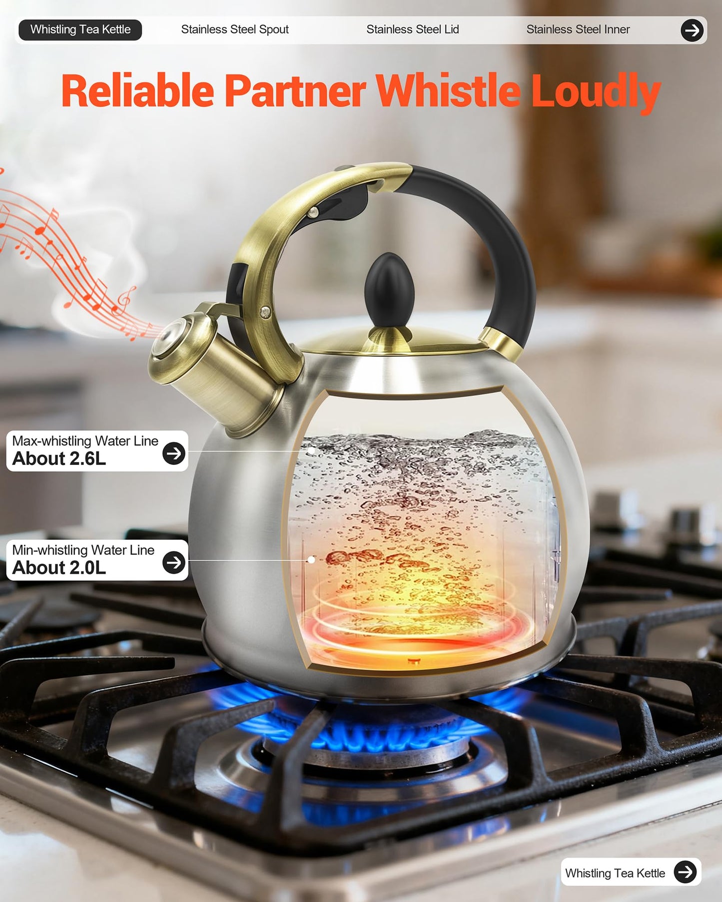 LRYYBTI Stove top Whistling Tea Kettle Food Grade Stainless Steel Teapot of 5-layer base for Camping & Kitchen(Brushed, 2.64 Qt)
