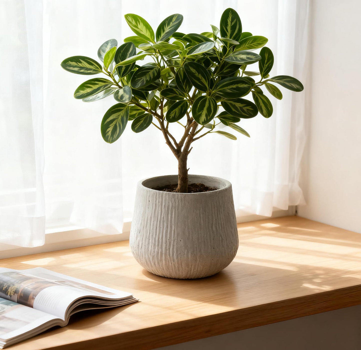 SONDERVIBE 11" Dia x 9.06" H Large Round Planter for Indoor Plants, Magnesium Oxide Plant Pot with Cement Texture, Modern Outdoor Planters with Drainage Hole for Home Garden & Patio, Grey