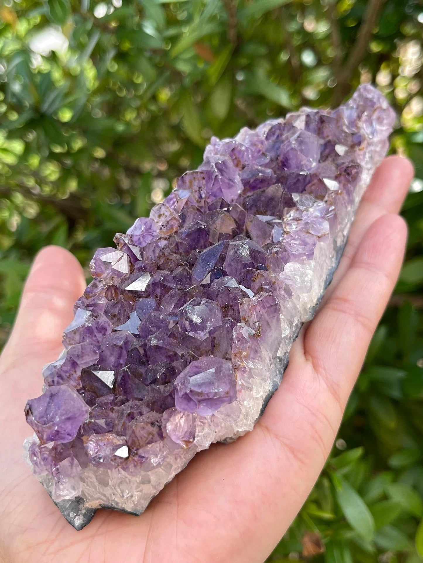 GAF TREASURES XL Raw Amethyst Cluster, 3-4" Natural Rough Amethyst Cluster, Amethyst Cluster Rough, Amethyst Cluster Healing Rough Crystal (Amethyst Cluster, 0.5-1 lb)