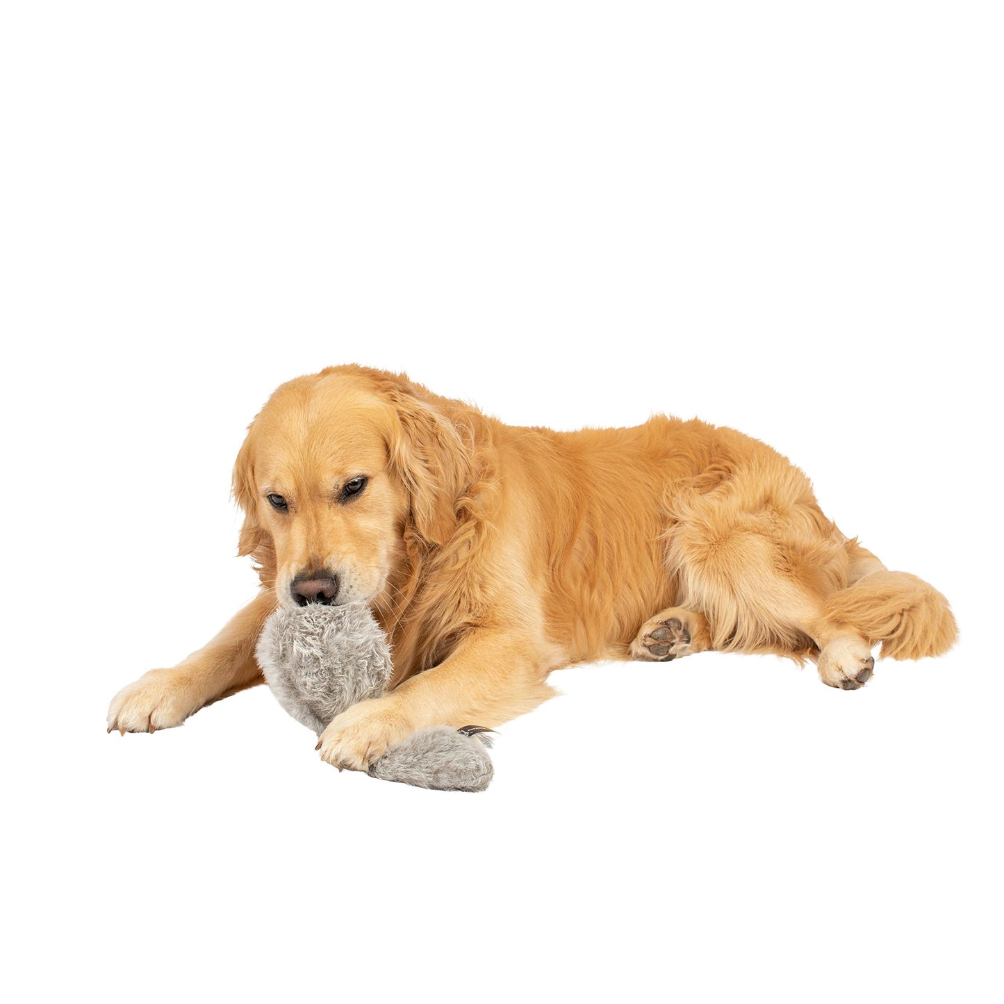 Hyper Pet Doggie Tail Interactive Plush Automatic Dog Toys, Durable, Wiggles, Vibrates, and Barks, Batteries Included, for All Dog Breeds, Boredom Buster