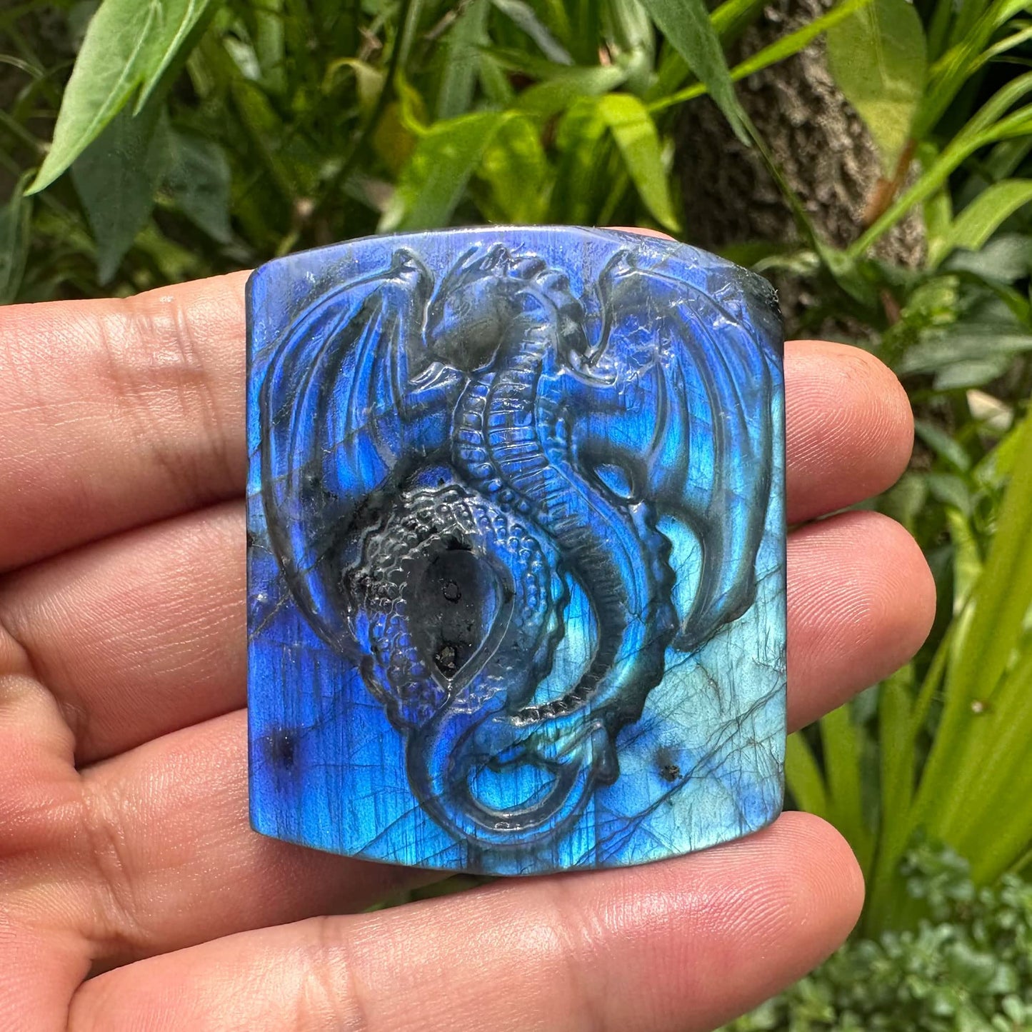 TEAMWILL Natural Labradorite Crystal Quartz Hand Carved Fly Dragon Reiki Healing Crystal Gorgeous Art Sculpture Stone Statue Figurine Minerals Gifts