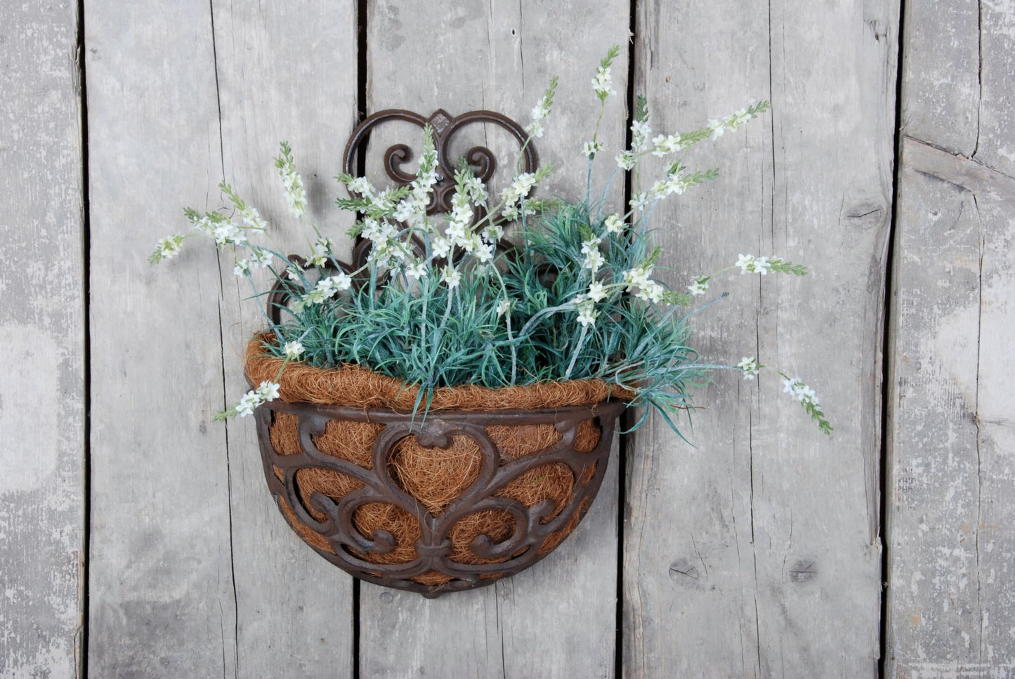 Esschert Design USA BPH51 Half Round Cast Iron Wall Planter
