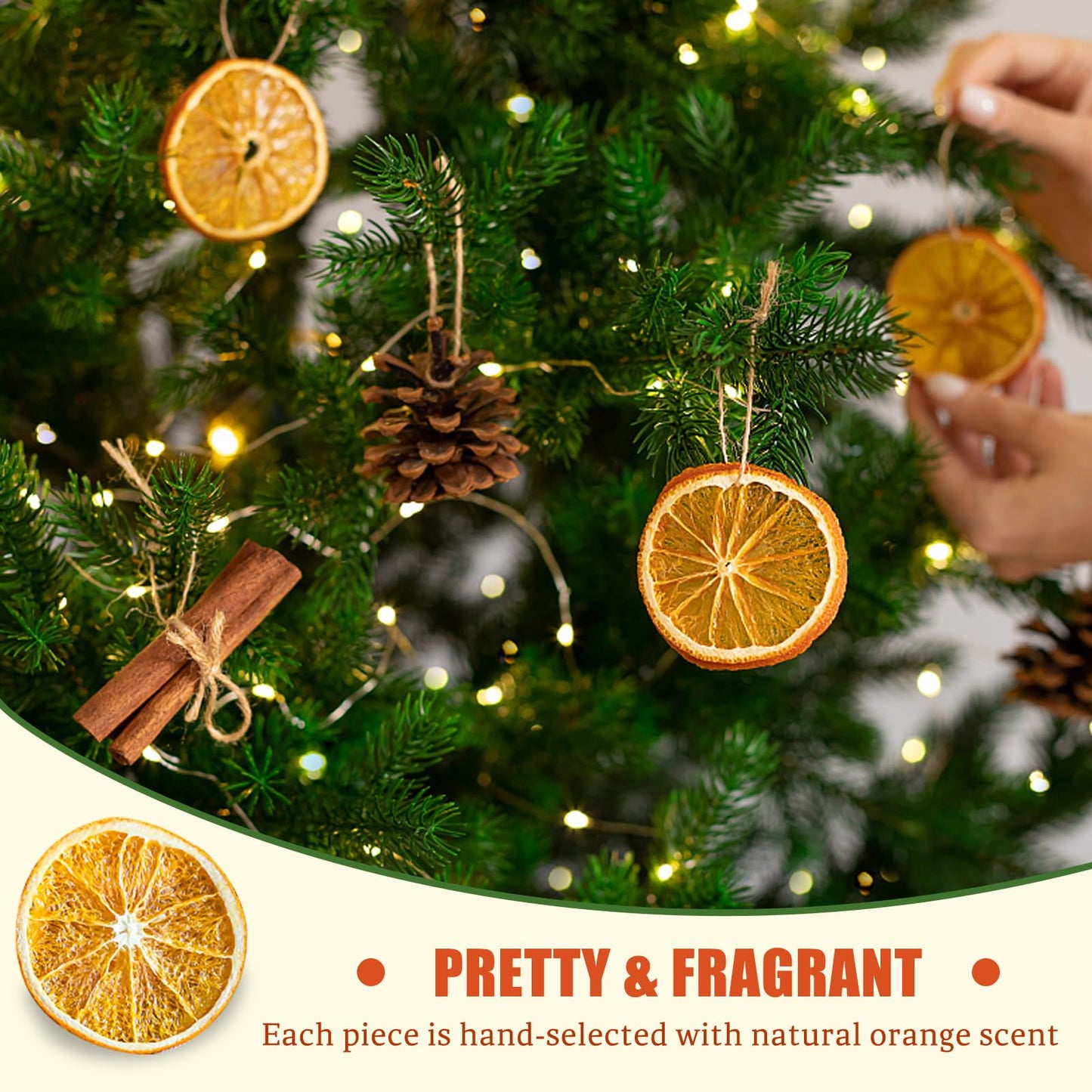 50 Pcs Dried Orange Slices, with 50Pcs Hemp Rope, Christmas Wreath Making Supplies for X-mas Tree Decoration, DIY Crafts, Present Wrapping