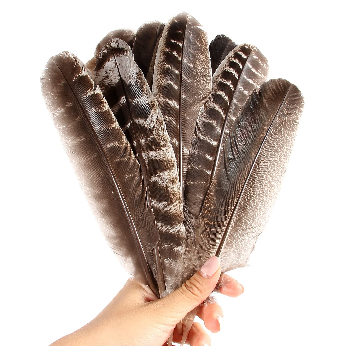 THARAHT 24pcs Natural Wild Turkey Wing Feathers Quill Bulk 8-10inch 20-25cm for DIY Crafts Project Collection Wedding Decoration Wild Turkey Tails Feather
