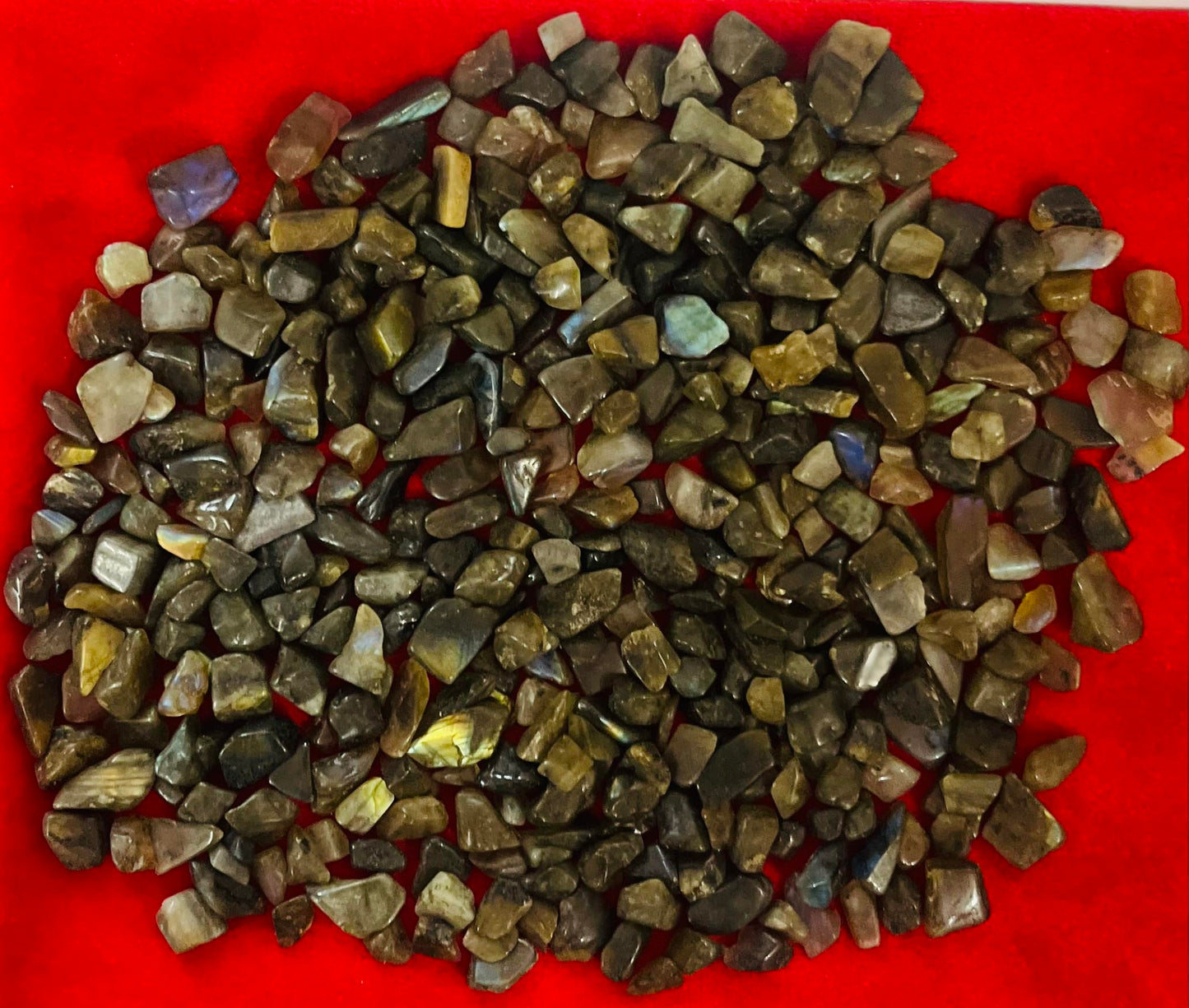 Indian Consigners Natural Crushed Polished Tumbled Gem Stone Chips, Decoration & Healing Crystals (Labradorite)