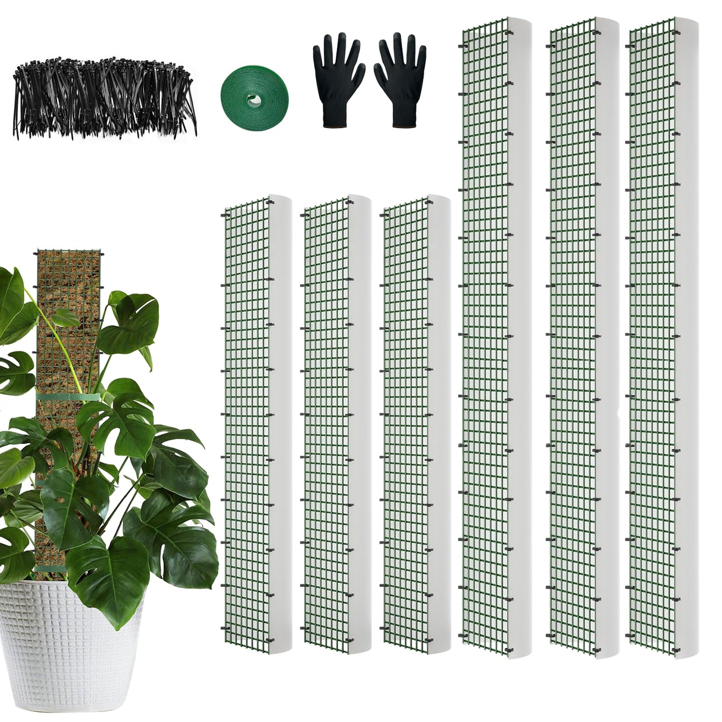 60"/40"/24" Metal Moss Pole, D Shape Sphagnum Moss Pole, Moss Poles for Climbing Plants, Monstera, Indoor Climbing Plants (3 Each of 40" 24")