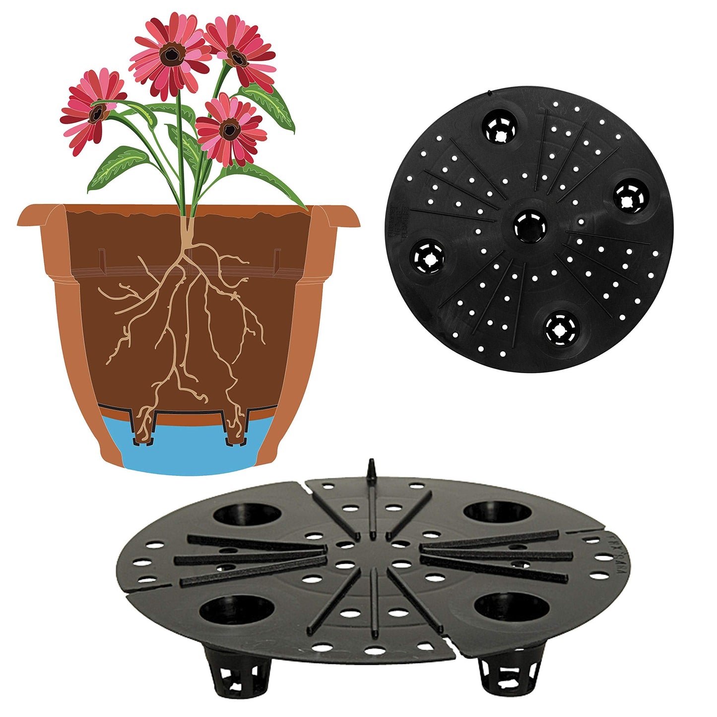 Bloem AP0613 Ariana Self Watering Planter 6" Burnt Red, 6"