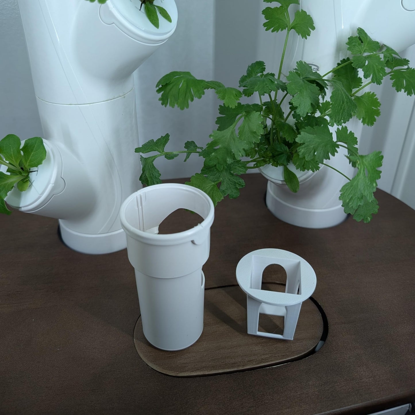 Grow Cubes for Hydroponic System/Grow Cubes Compatible with Gardyn (Seed Starter Nursery + w/Rockwool)