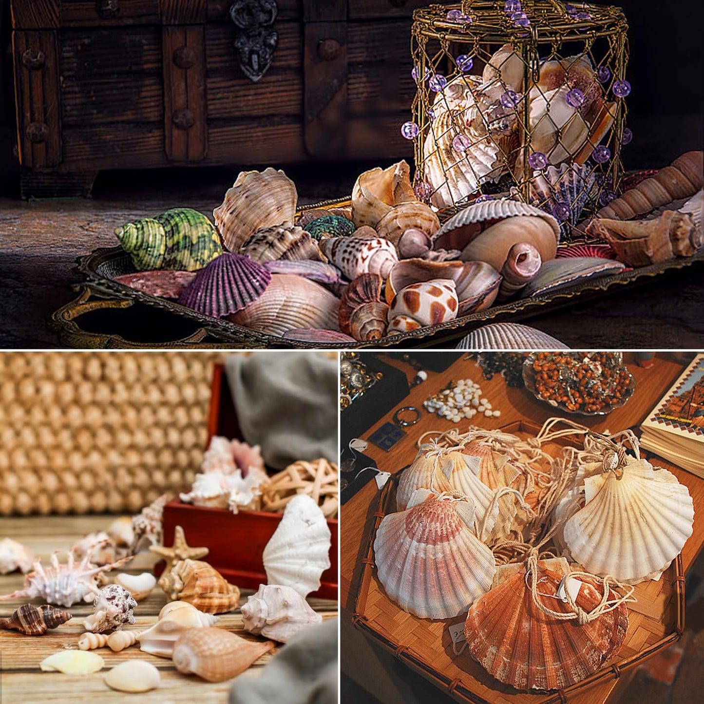 Fangoo 1.5 LB Mixed Sea Shells, 130+ PCS Beach Seashells Starfish Oyster Shells Various Sizes Ocean Seashells for Fish Tank Vase Fillers Beach Theme Party Wedding Decor DIY Crafts Home Decorations