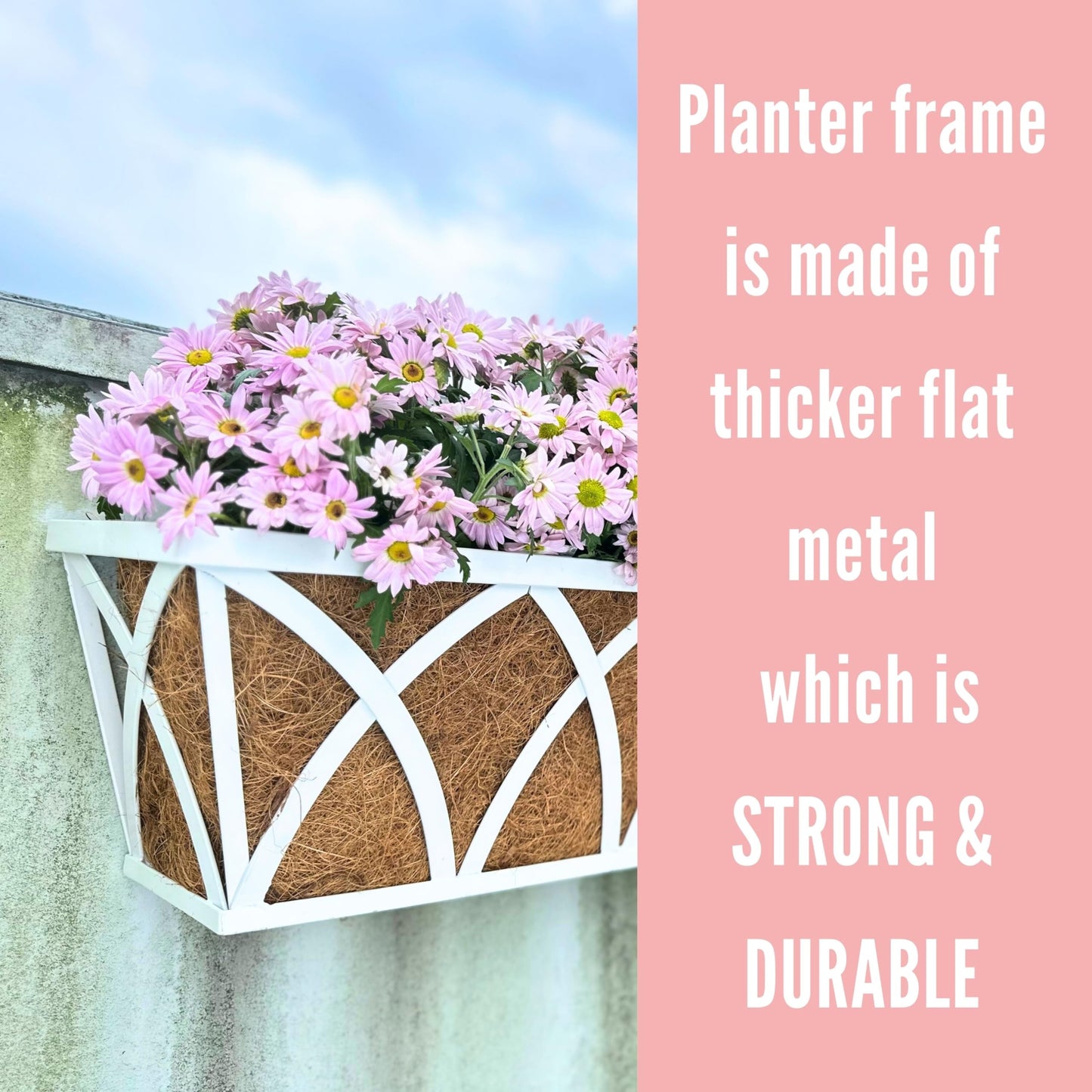 LalaGreen Bundle-2 Pack,24 Inch White Rectangular + 2 Pack,16 Inch White Metal Hanging Planter with Coco Liner, Window Deck Fence Rail Flower Pots,Farmhouse Wall Mount Balcony Porch Outdoor Basket Box