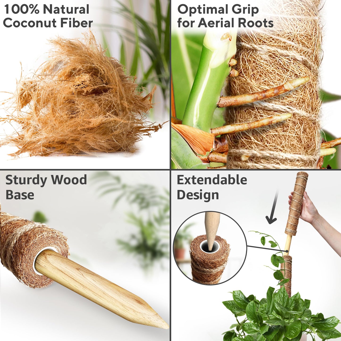 Premium Moss Pole for Plants 4-Pack - 48 Inch Sturdy Plant Support Stakes - 16.5" Extendable Poles for Monstera & Climbing Plants - 100% Natural Garden Sticks - Complete Kit w/Ties, Velcro & Rope