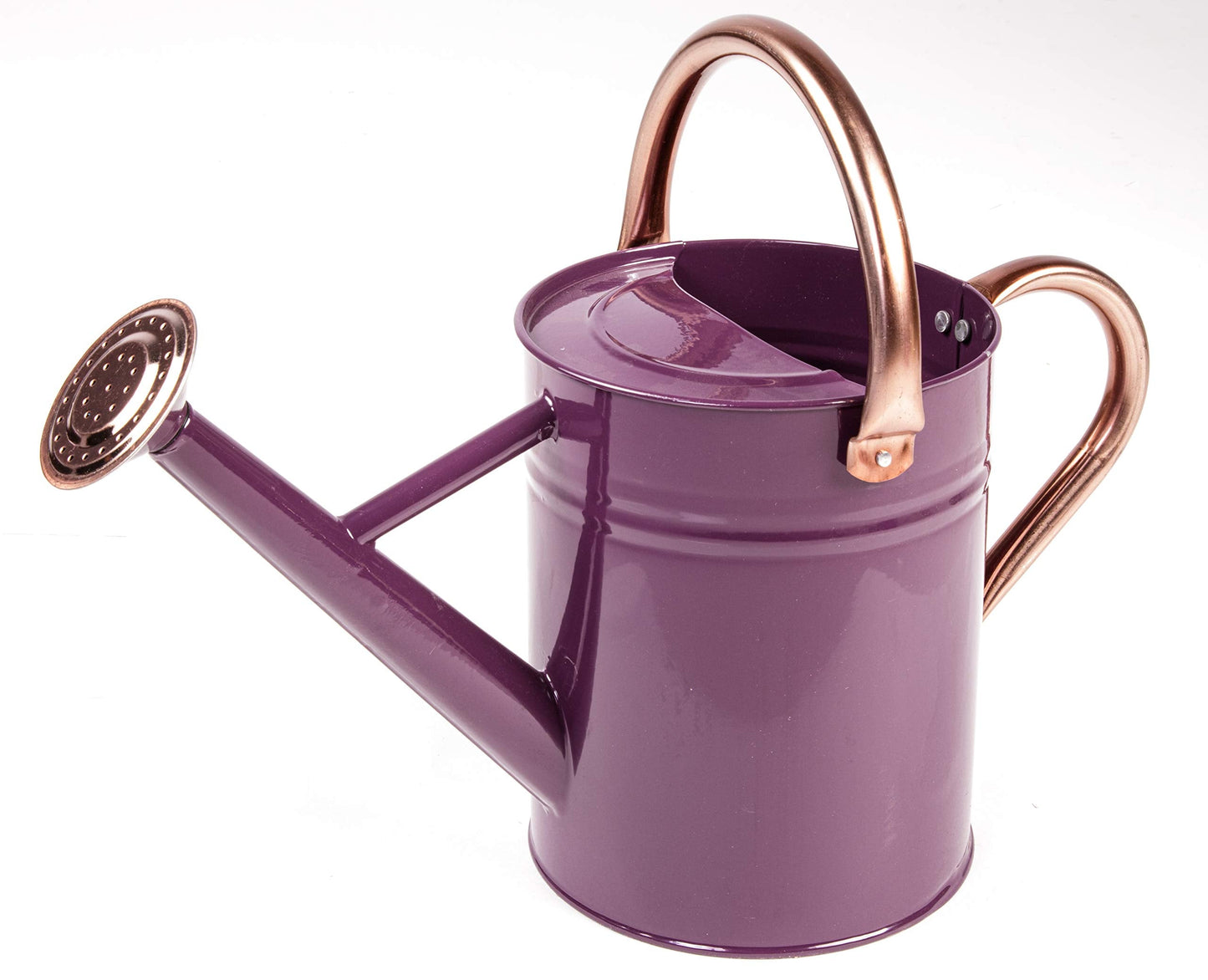 Gardman R34881 1 Gallon Watering Can, Deep Violet