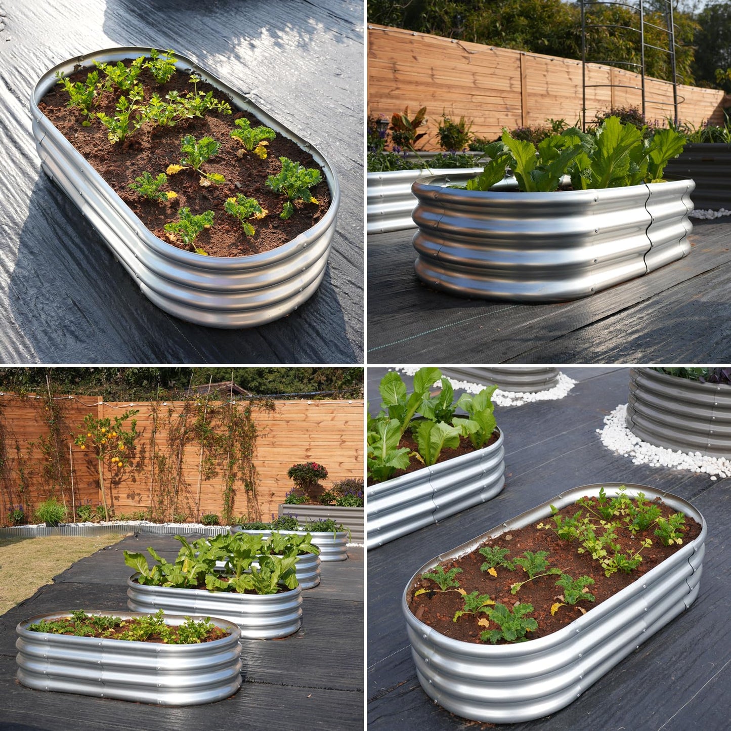 Tramull 4x2x1 ft Galvanized Raised Garden Bed Outdoor, 4-Pack 12" Tall Metal Planter Boxes for Planting Vegetables, Flowers, Herbs, Tomato - Corrugated Rust-Resistant Elevated Garden Beds Kit, Silver