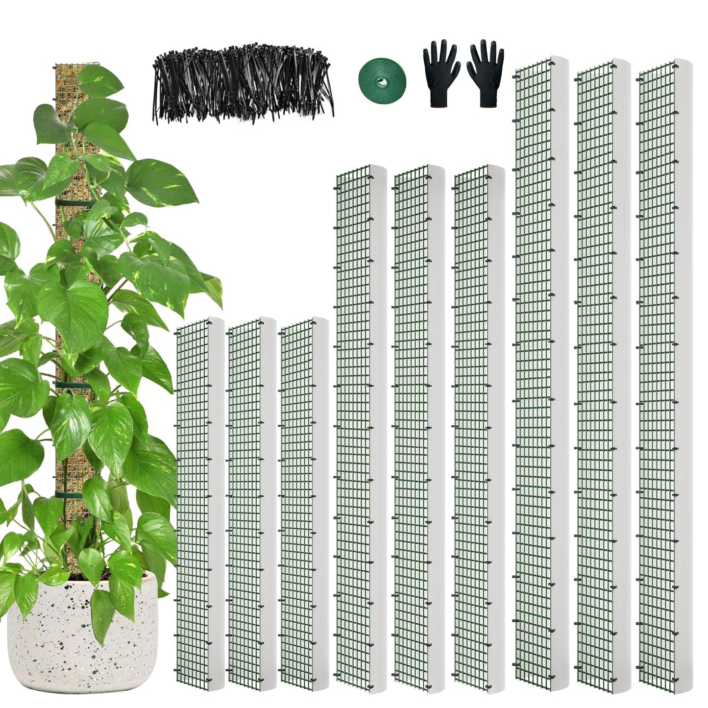 60"/40"/24" Metal Moss Pole, D Shape Sphagnum Moss Pole, Moss Poles for Climbing Plants, Monstera, Indoor Climbing Plants (3 Each of 60" 40" 24")