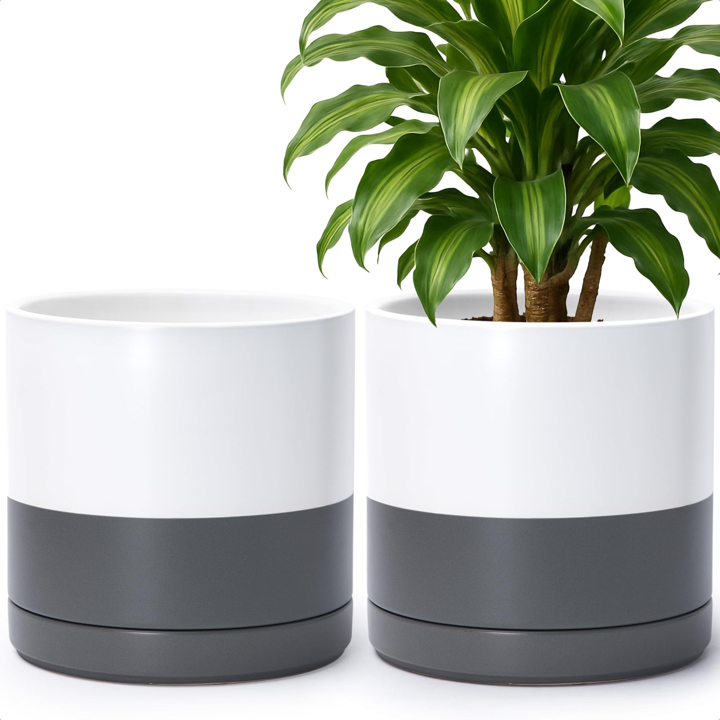 D'vine Dev Set of 2 Plants Pots, 10 Inch Ceramic Planter Pot for Plants with Drainage Hole and Saucer, White/Speckled Grey, 94-V-E-6