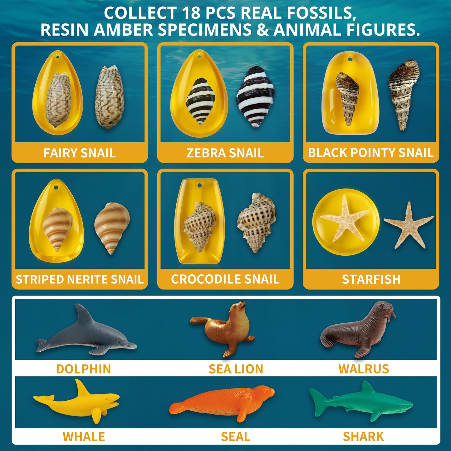 PIBEX Under-The-Sea Dig Kit – Dig & Discover 18 Real Shell Fossils, Amber Jewelry & Sea Animal Creatures – Ocean Necklace Making & STEM Excavation Activity Toy for Kids Ages 6+