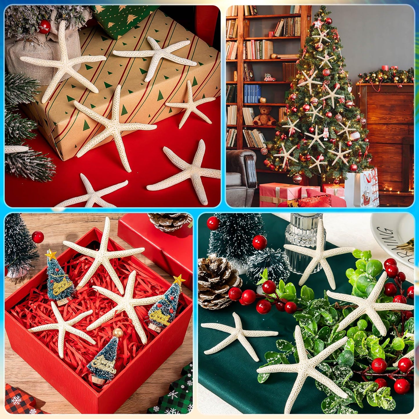 24 Pcs Starfish for Crafts, 2'' to 4'' Star Fish Shells Decorations, Natural Starfish Decor Bulk for Beach Theme DIY Crafts Christmas Tree Ornaments