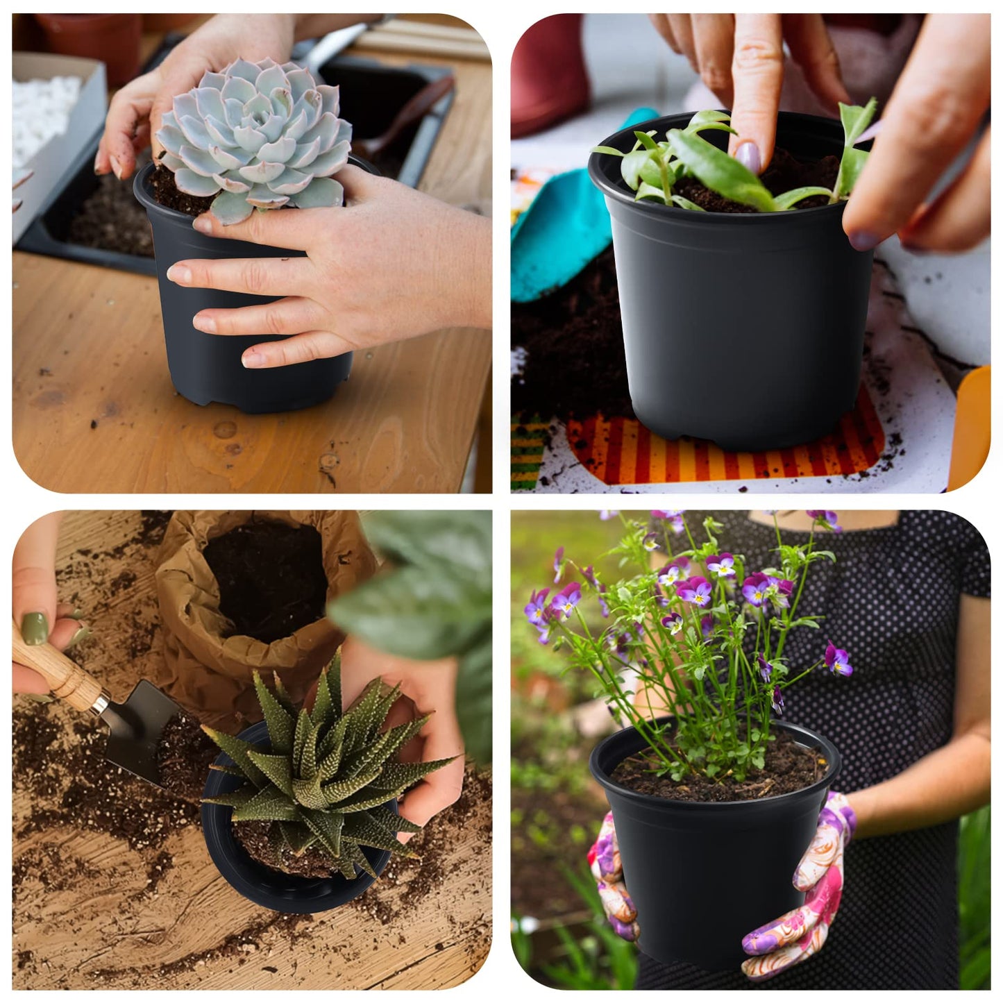 50Pcs Nursery Pots Variety Pack Plastic Pots for Plants,6 inch Seedling Pots with Drainage Holes Indoor Outdoor Flower Pots for Succulent Vegetable Herb