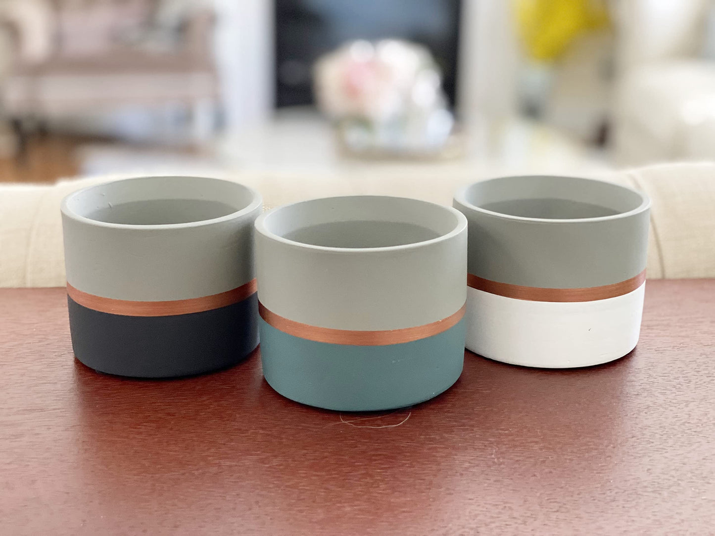 Chez JuJu Assorted Nordic Cement Succulent Pots 3.5" Planters with Drainage | 3 Pack